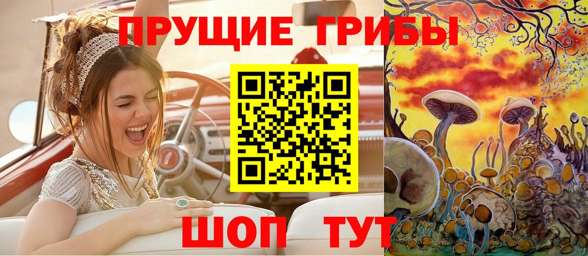 Галлюциногенные грибы GOLDEN TEACHER  купить  цена  Малоярославец  Псилоцибиновые грибы мицелий  Вход с VPN 