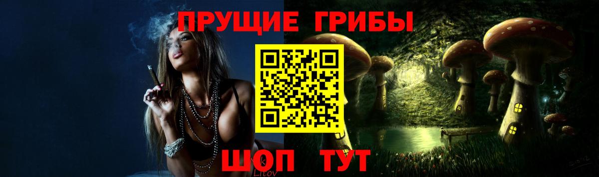 Псилоцибиновые грибы прущие грибы Малоярославец